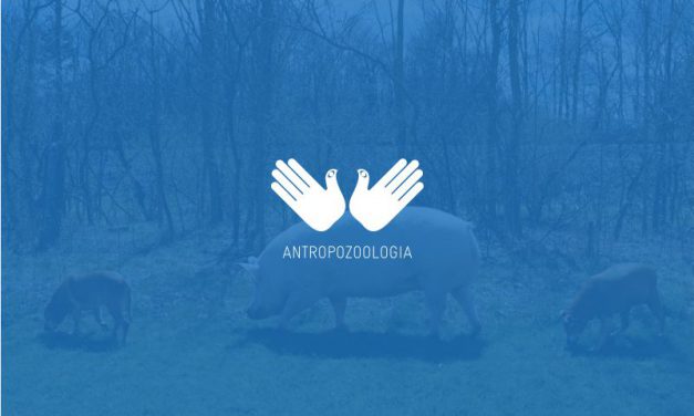 Konferencja: „Performatyka. Poza kanonem…”