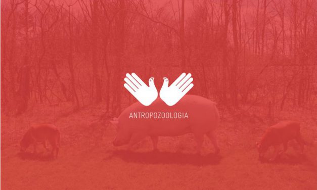 Praca w trybie stacjonarnym Dziekanatu Wydziału w czasie obowiązywania pracy zdalnej na Uniwersytecie Warszawskim