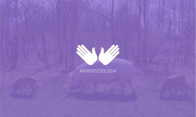 Adam Wajrak: wykład pt. „Puszcza Białowieska – ostatni las”